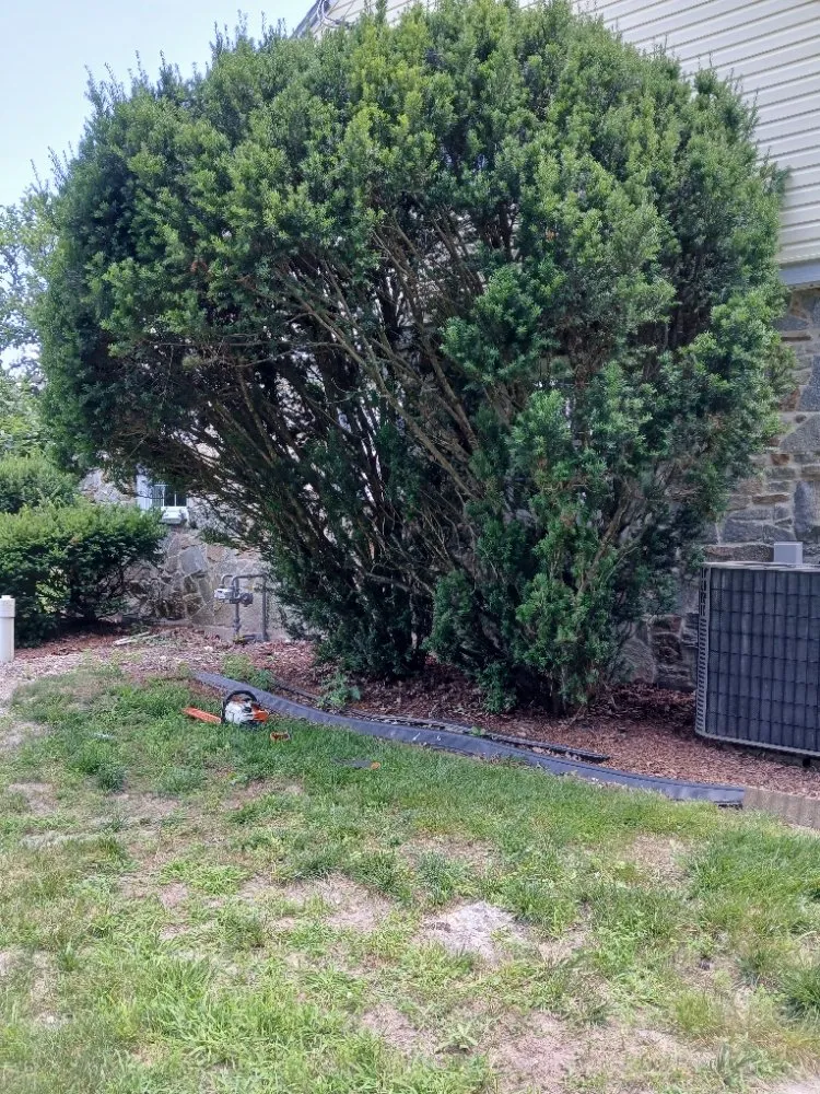 Top-rated yard maintenance for beautiful yards in Gettysburg, PA by Any Help Property Services and Solutions