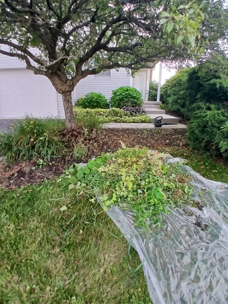 Affordable lawn mowing service in Gettysburg, PA by Any Help Property Services and Solutions