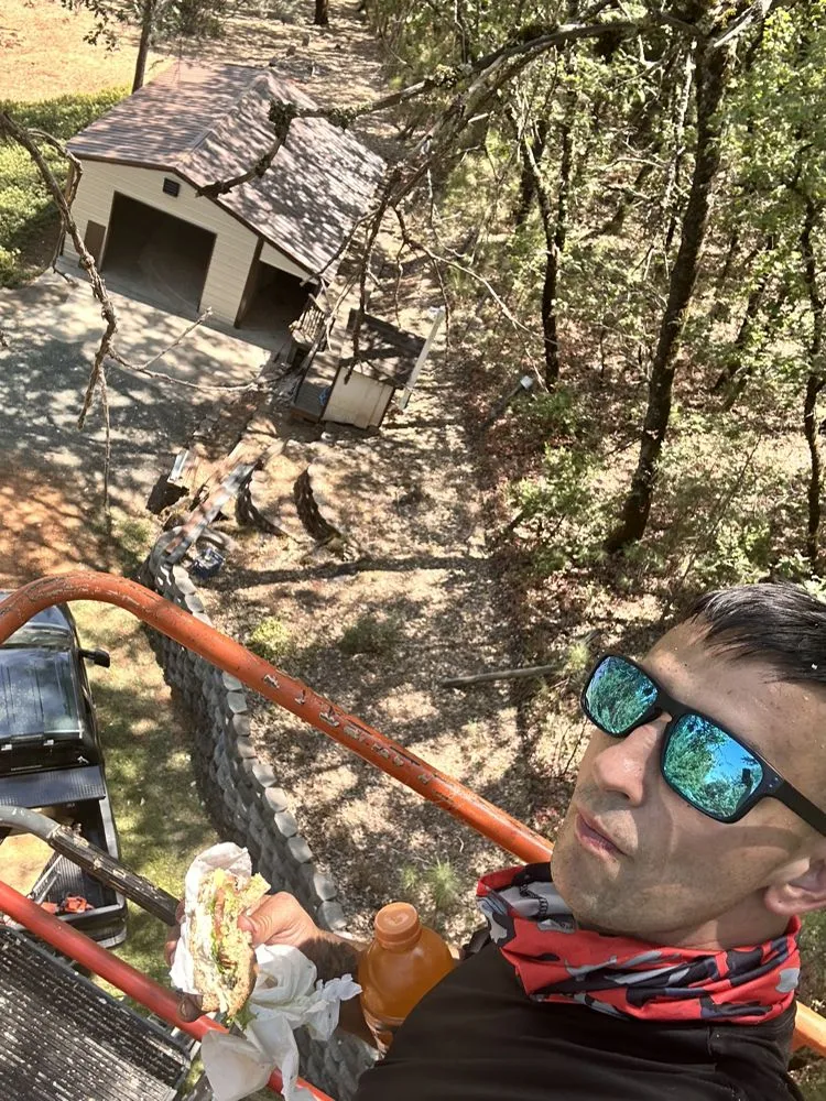 Local landscaping services near you in Auburn, CA by Any Job at All