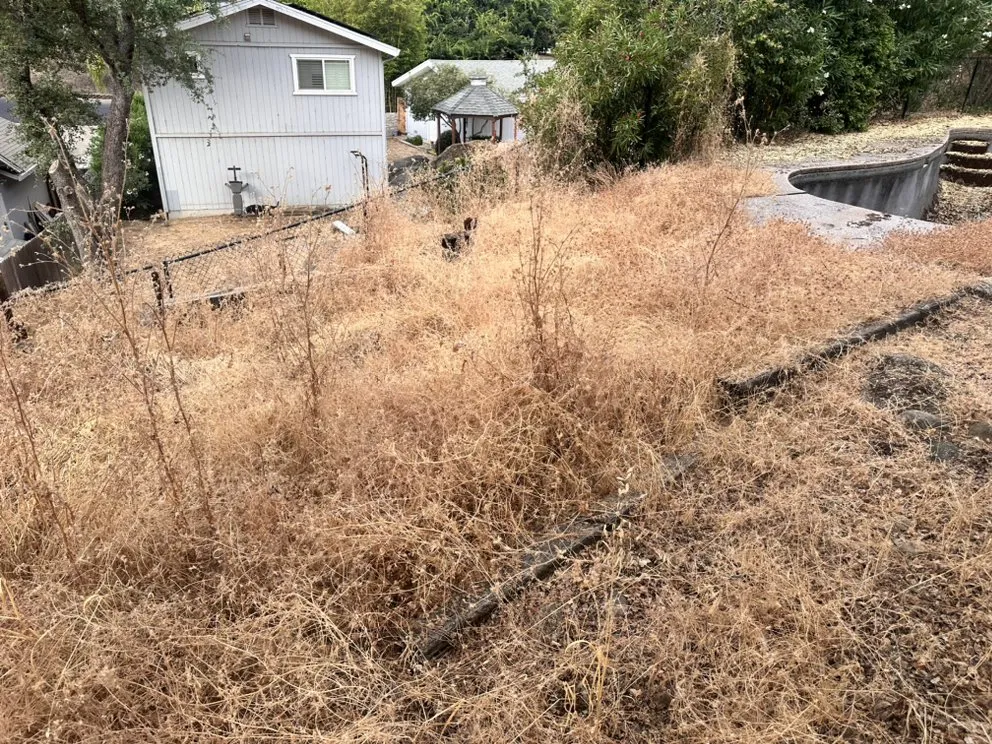 Top-rated landscaping services in Auburn, CA - Any Job at All