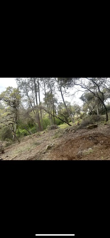 Trusted landscape design in Auburn, CA - Any Job at All