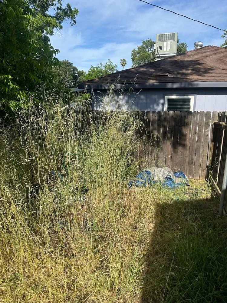 Professional landscape design near you across Auburn, CA - Any Job at All