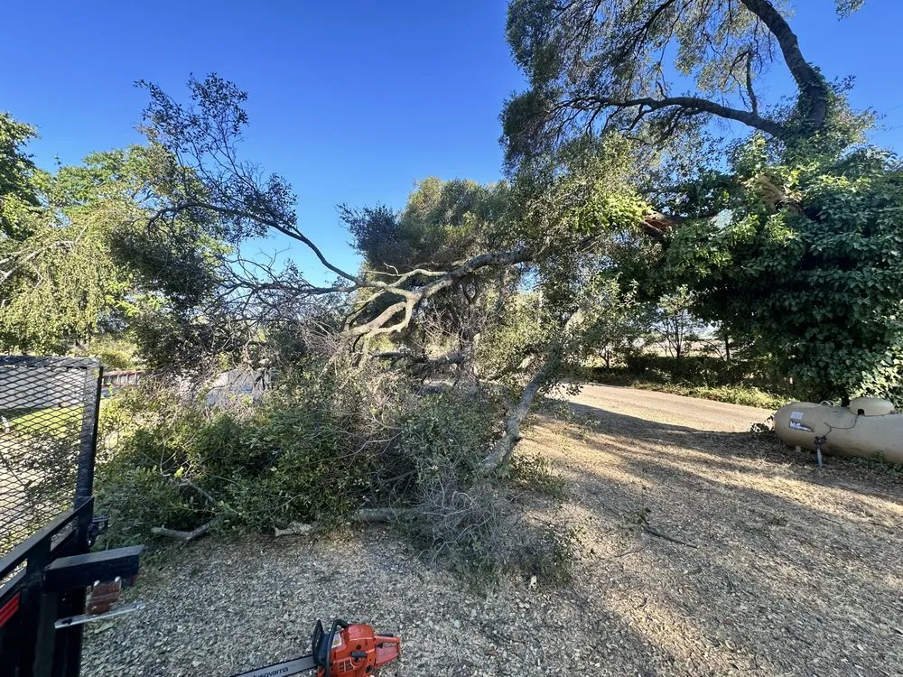 Local landscape installation for beautiful yards across Auburn, CA - Any Job at All