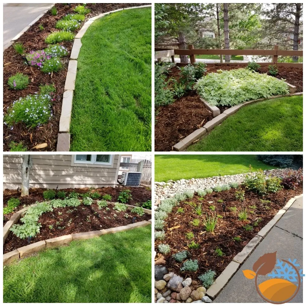 Affordable lawn care service for homes in Lone Tree, CO by Any Reason Any Season Landscape Design