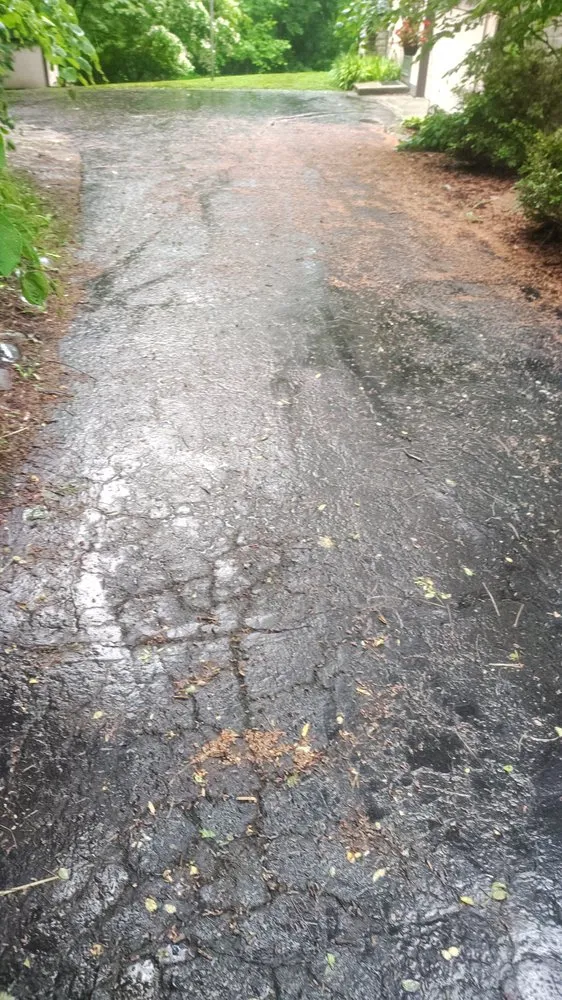 Trusted yard maintenance experts serving Indianapolis, IN - Any Time Lawn Care Services