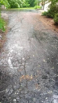 Any Time Lawn Care Services Logo