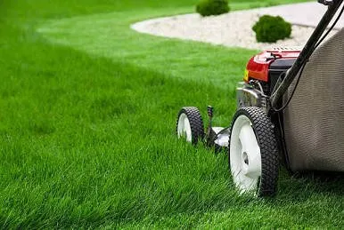 Reliable landscaping services experts serving West Monroe, LA - Anybody’s Lawn Care Service