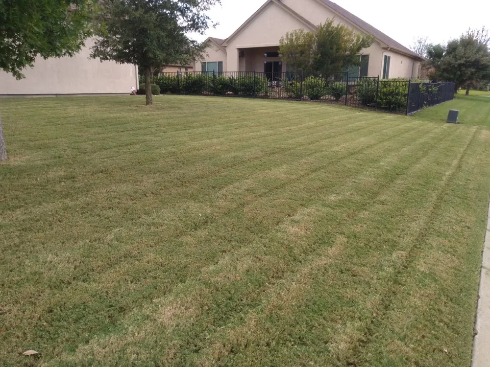 Local lawn care service experts serving Corinth, TX - Anyday Lawn Care Service