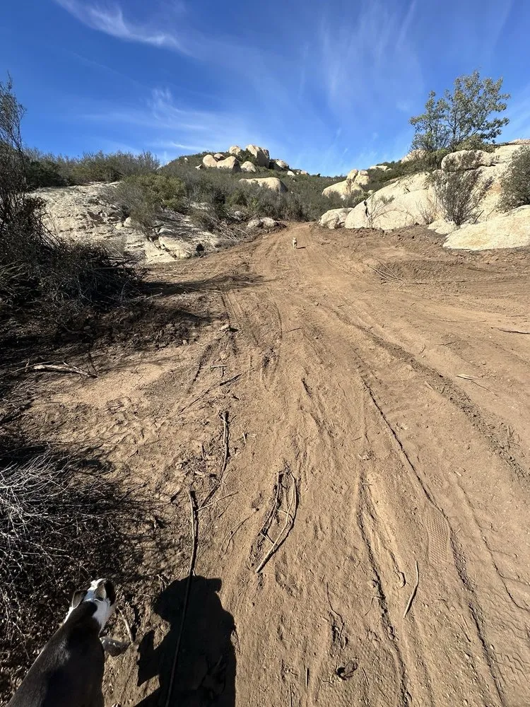 Expert lawn mowing service experts serving Jamul, CA - Anything & Everything Landscape