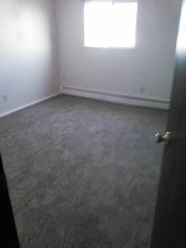 Professional lawn care service for outdoor upgrades in Rock Springs, WY by Anything but That