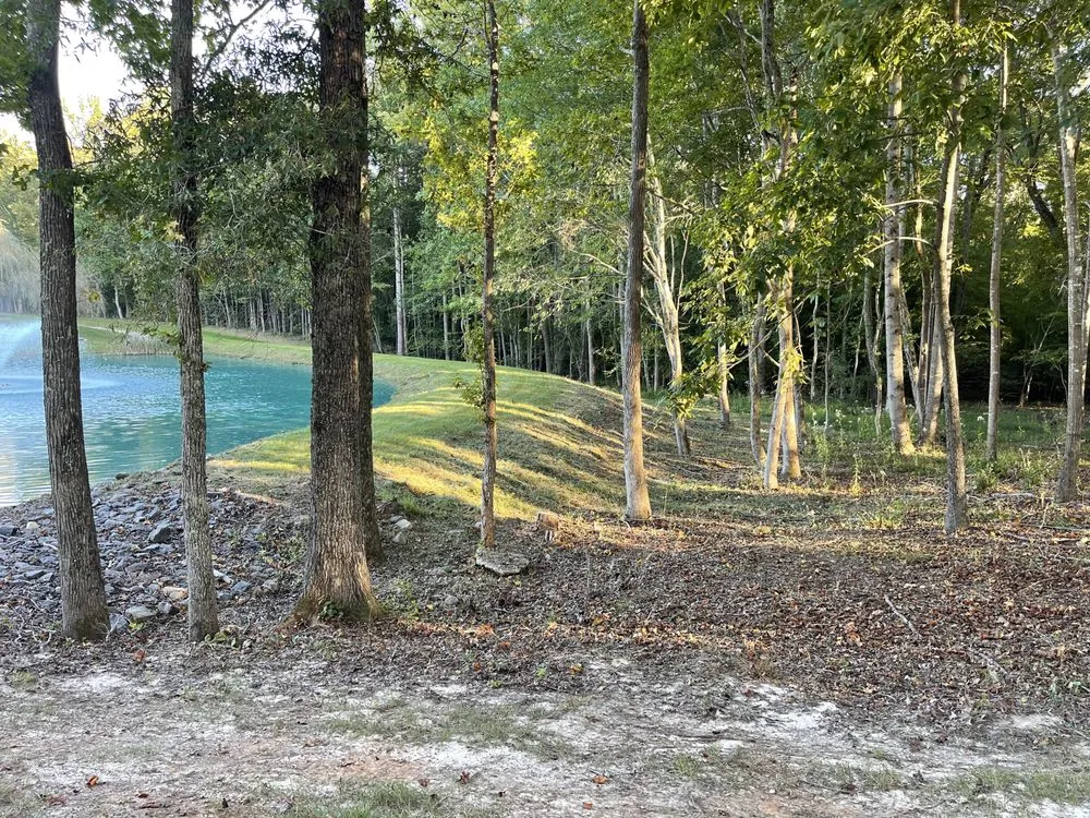 Local yard cleanup service in Bumpass, VA - Anything Delivered