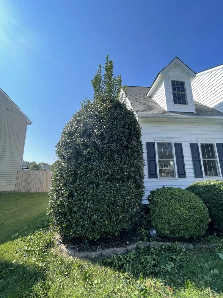 Expert landscape installation in Bumpass, VA by Anything Delivered