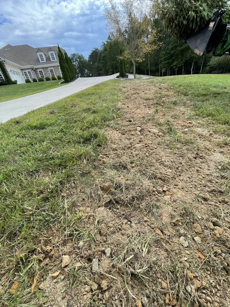 Trusted yard cleanup service experts serving Bumpass, VA - Anything Delivered