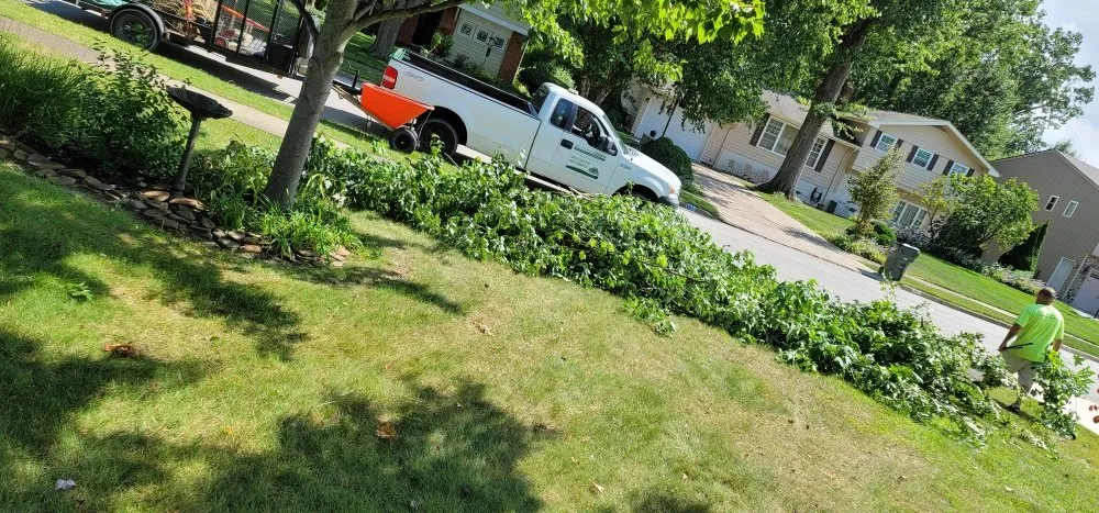 Reliable landscaping services in Lorain, OH - Anything Green Lawn Care & Landscaping