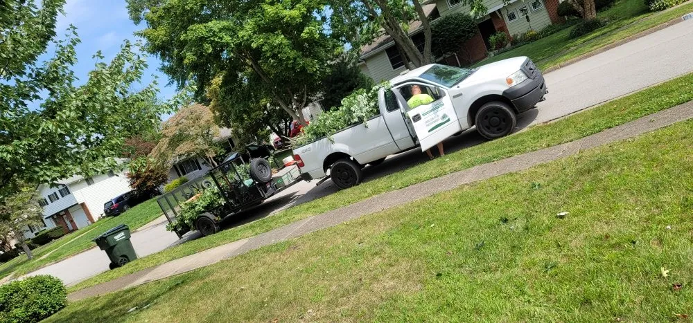 Expert lawn care service for beautiful yards in Lorain, OH by Anything Green Lawn Care & Landscaping