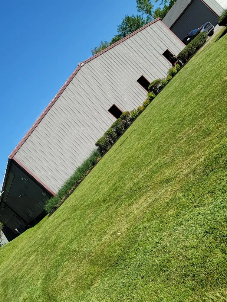 Top-rated garden landscaping experts serving Lorain, OH - Anything Green Lawn Care & Landscaping