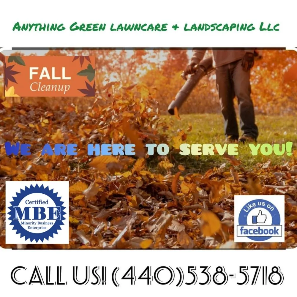 Affordable landscape design in Lorain, OH by Anything Green Lawn Care & Landscaping