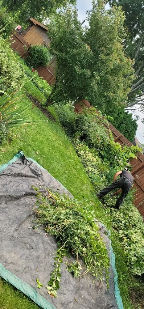 Top-rated lawn mowing service near you in Lorain, OH by Anything Green Lawn Care & Landscaping