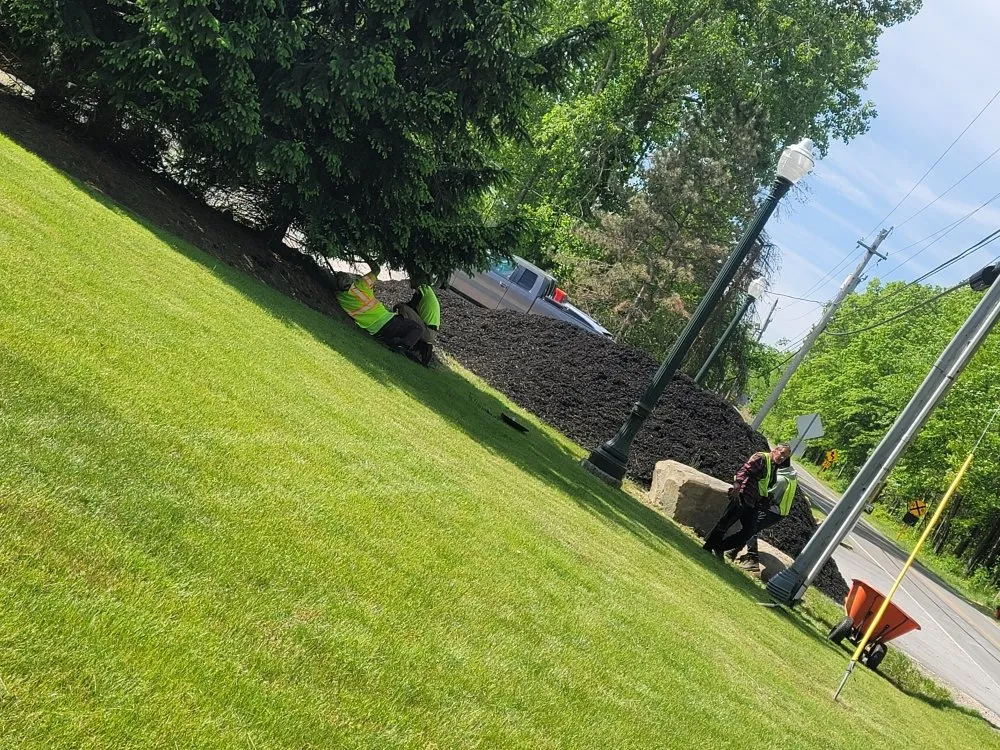 Local lawn mowing service for homes across Lorain, OH - Anything Green Lawn Care & Landscaping