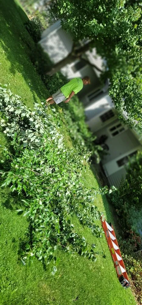 Professional landscape installation for outdoor upgrades across Lorain, OH - Anything Green Lawn Care & Landscaping