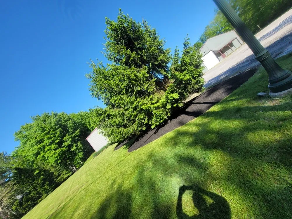 Affordable yard cleanup service for outdoor upgrades in Lorain, OH by Anything Green Lawn Care & Landscaping