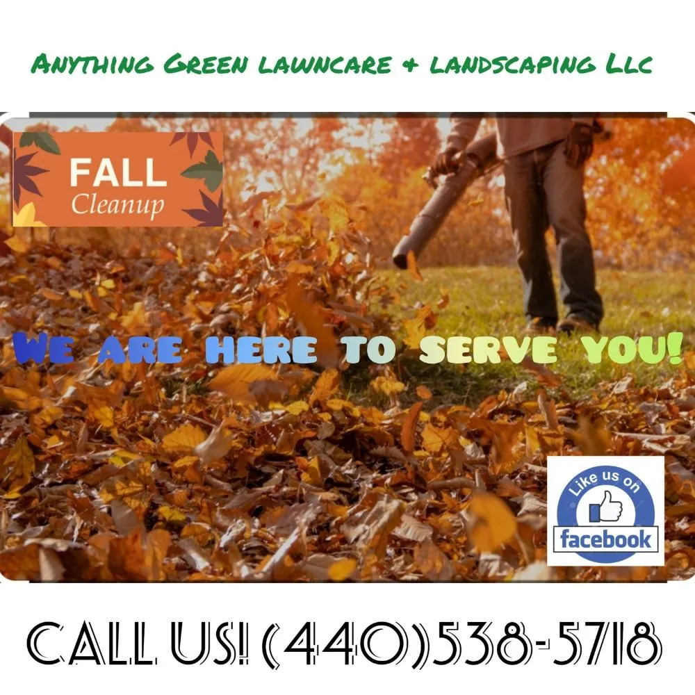 Reliable outdoor landscaping in Lorain, OH by Anything Green Lawn Care & Landscaping