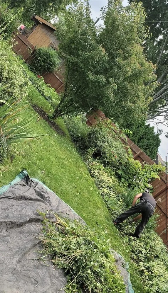 Local landscaping services experts serving Lorain, OH - Anything Green Lawn Care & Landscaping