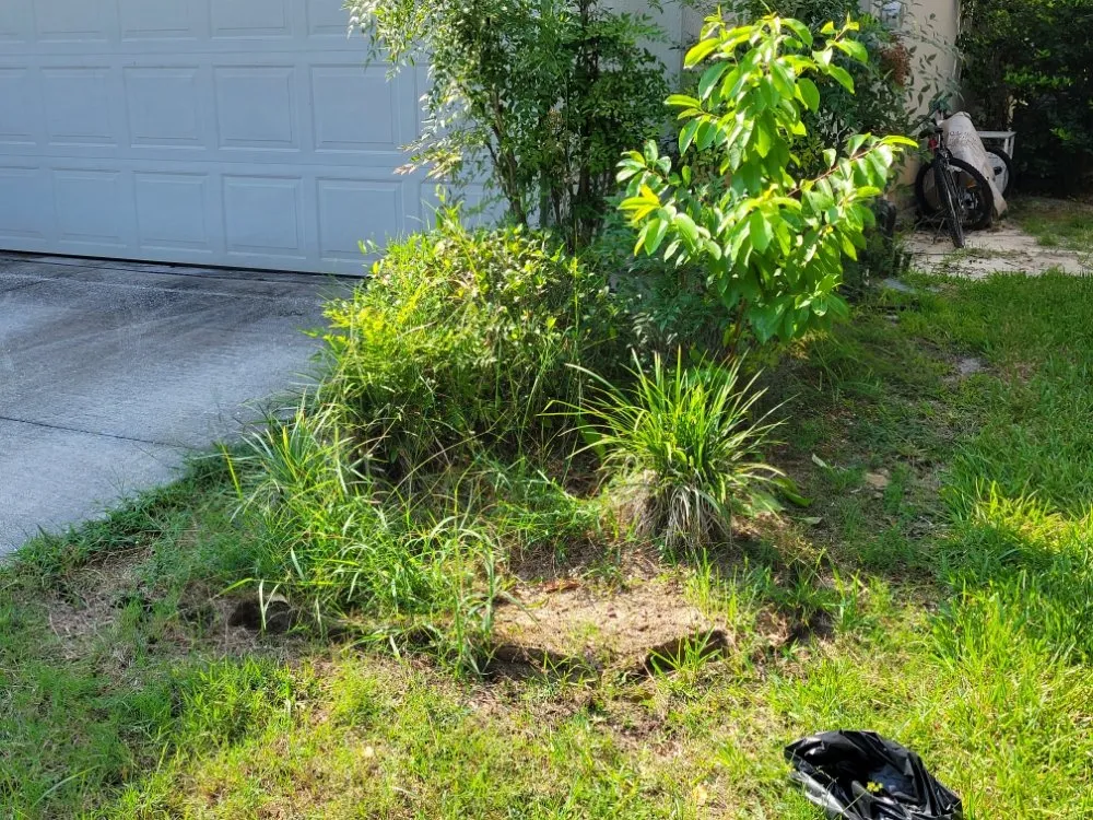 Reliable residential landscaping in Jacksonville, FL - Anything Labor & Repair