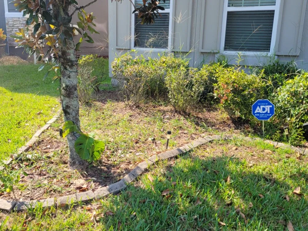 Local yard cleanup service in Jacksonville, FL by Anything Labor & Repair