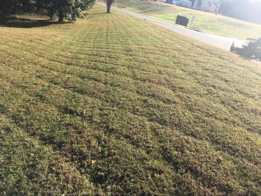 Professional outdoor landscaping for homes across Fredericksburg, VA - Anything Landscaping