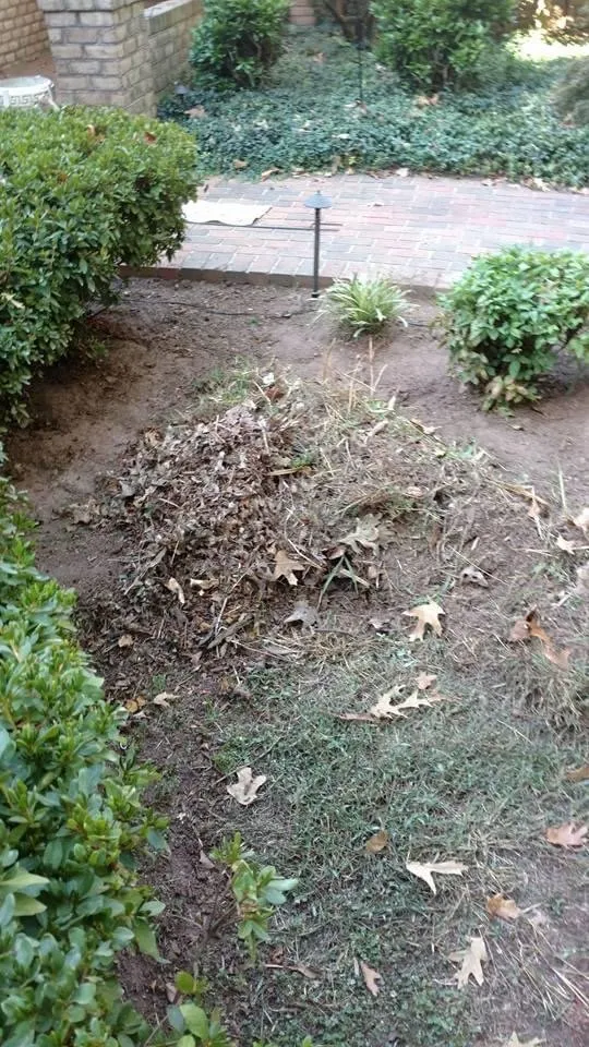 Top-rated yard cleanup service experts serving Fredericksburg, VA - Anything Landscaping