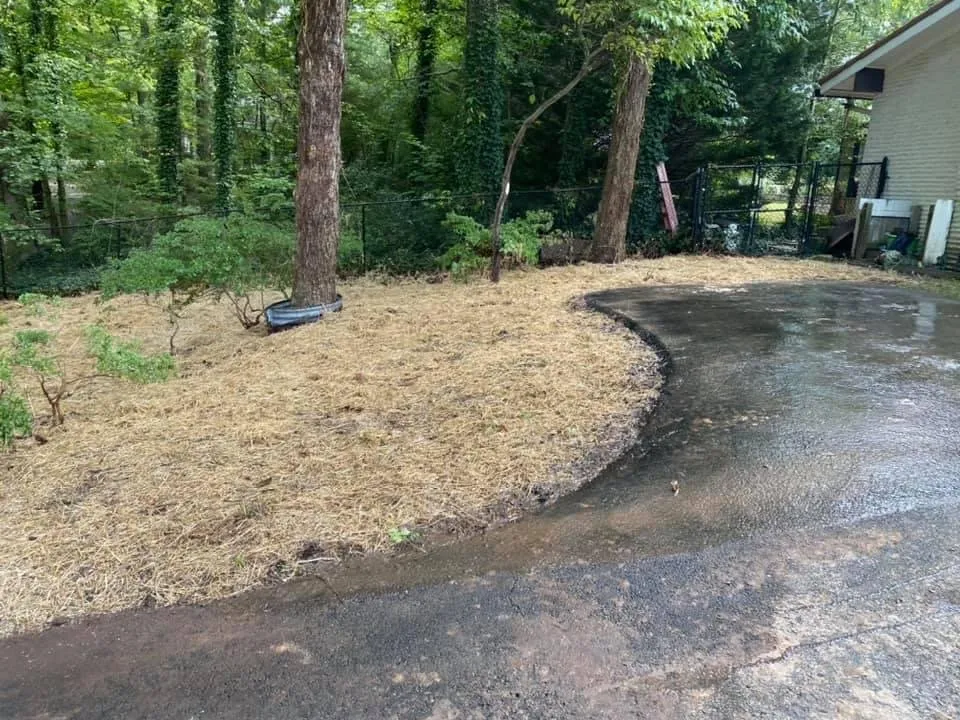 Custom lawn care service for residential properties in Fredericksburg, VA by Anything Landscaping