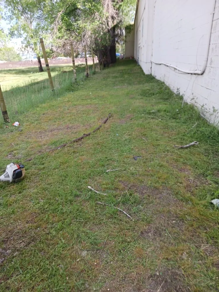 Reliable residential landscaping in Susanville, CA by Anything Maintenance