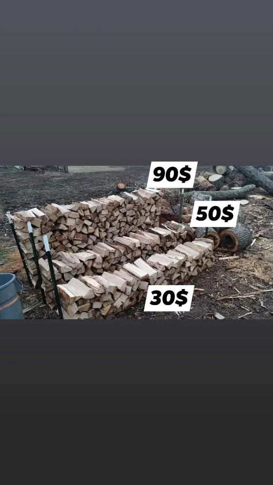 Top-rated yard maintenance for year-round maintenance across Athens, AL - Anything Outdoors Lawn & Tree Service