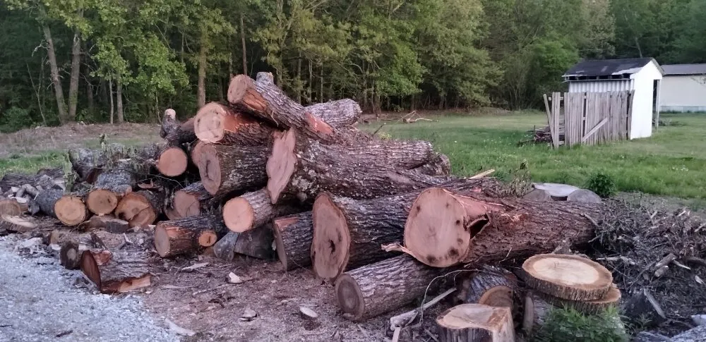 Expert outdoor landscaping experts serving Athens, AL - Anything Outdoors Lawn & Tree Service