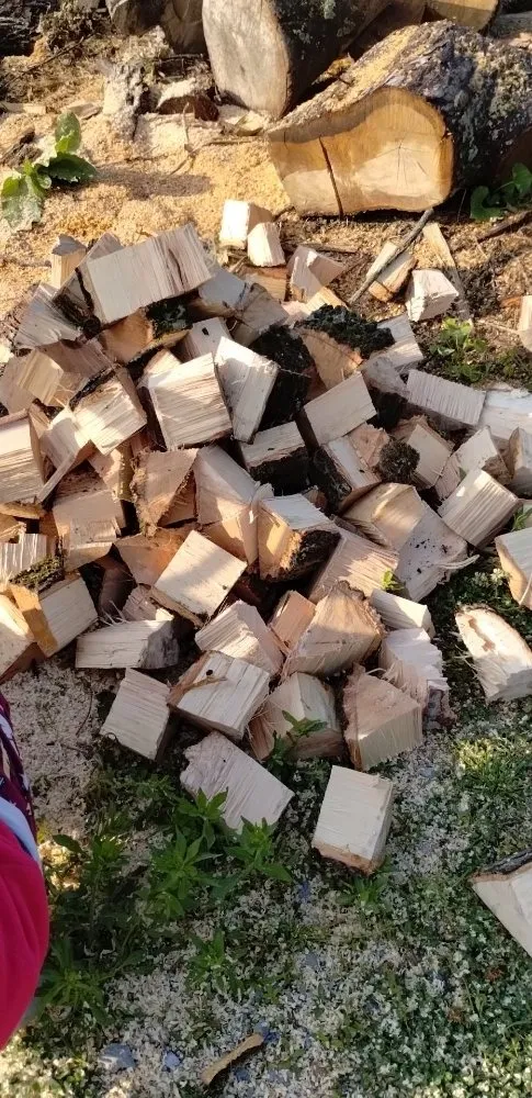 Trusted residential landscaping near you in Athens, AL by Anything Outdoors Lawn & Tree Service