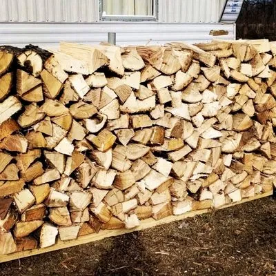 Anything Outdoors Lawn & Tree Service