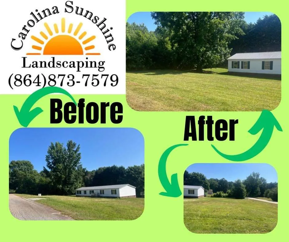 Reliable landscape design experts serving Anderson, SC - Anything Pressure Washing