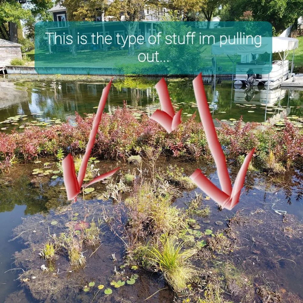 Affordable landscape design for year-round maintenance across Waterford Township, MI - Anythings Possible