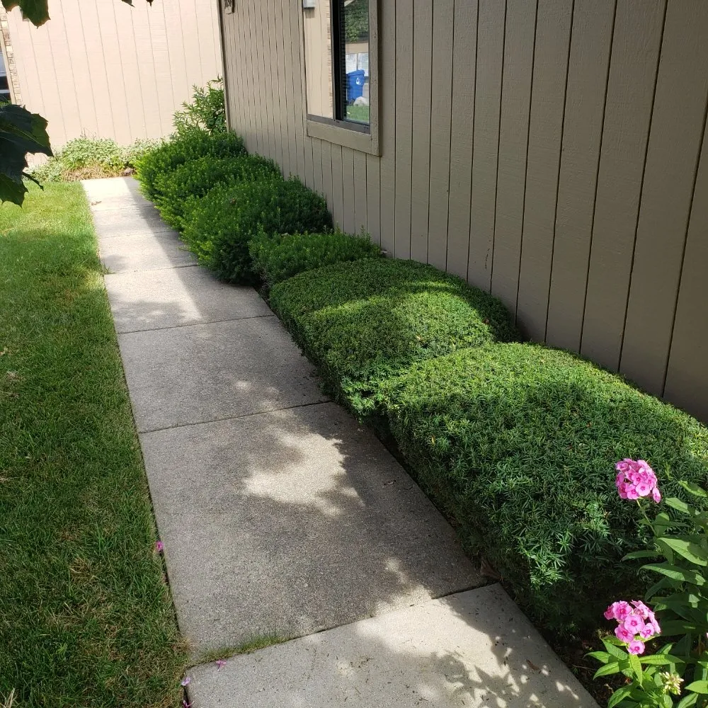 Professional landscaping services in Waterford Township, MI - Anythings Possible