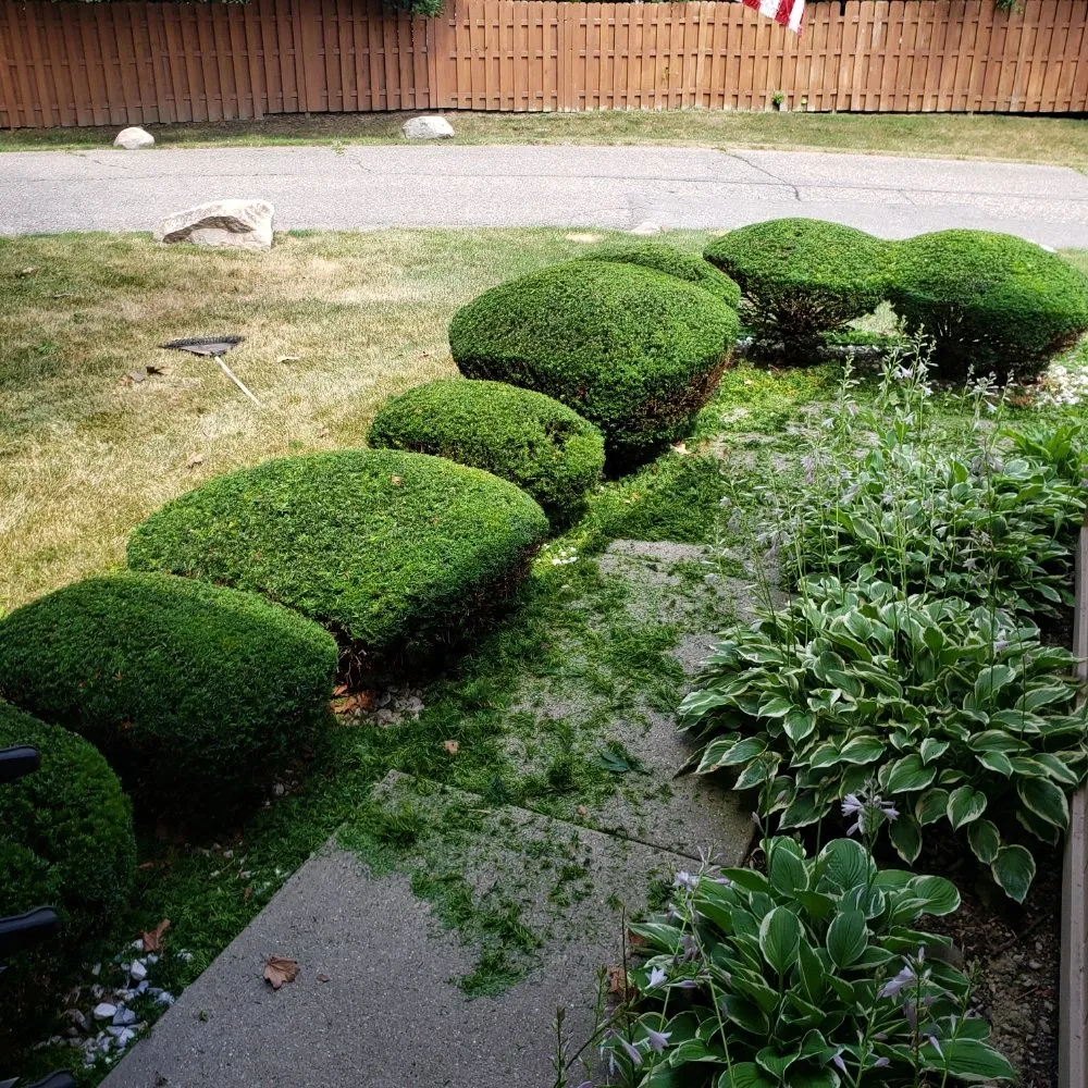 Expert garden landscaping with custom design in Waterford Township, MI by Anythings Possible