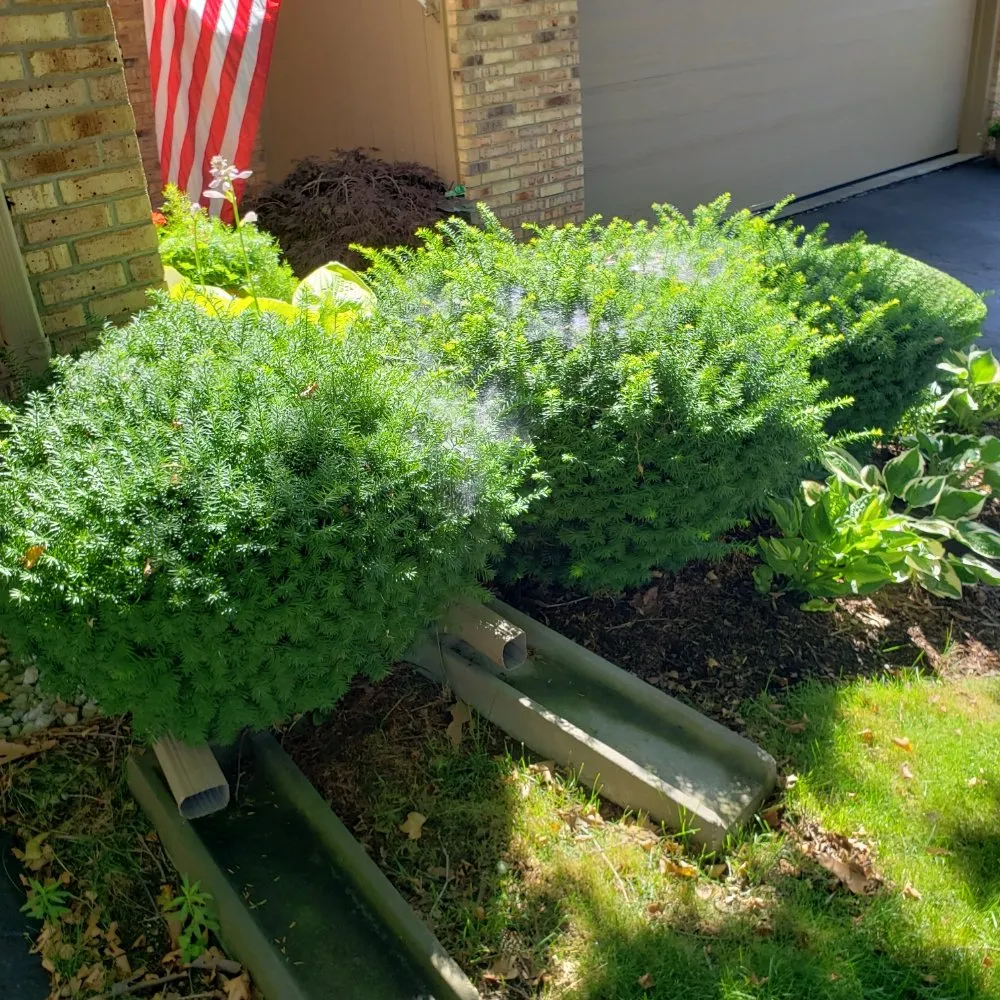 Affordable residential landscaping in Waterford Township, MI by Anythings Possible