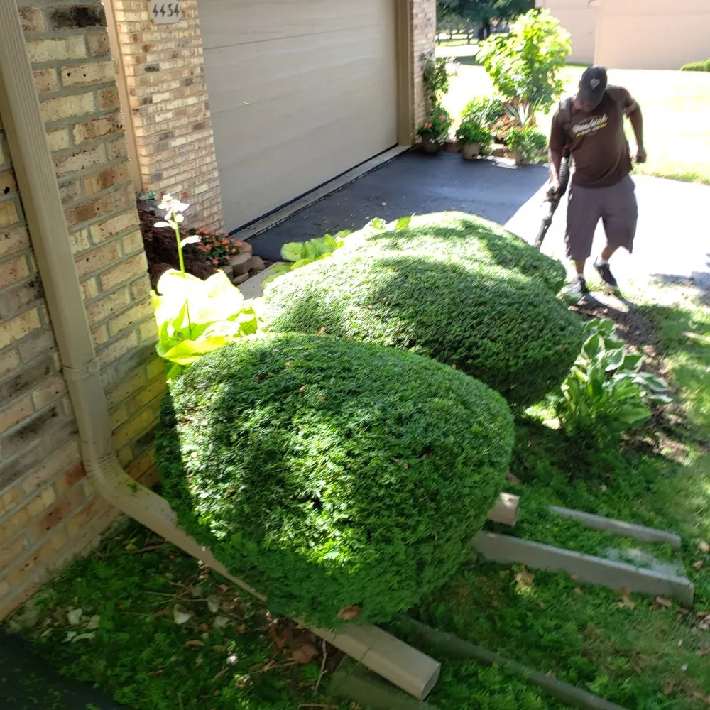 Affordable garden landscaping in Waterford Township, MI - Anythings Possible