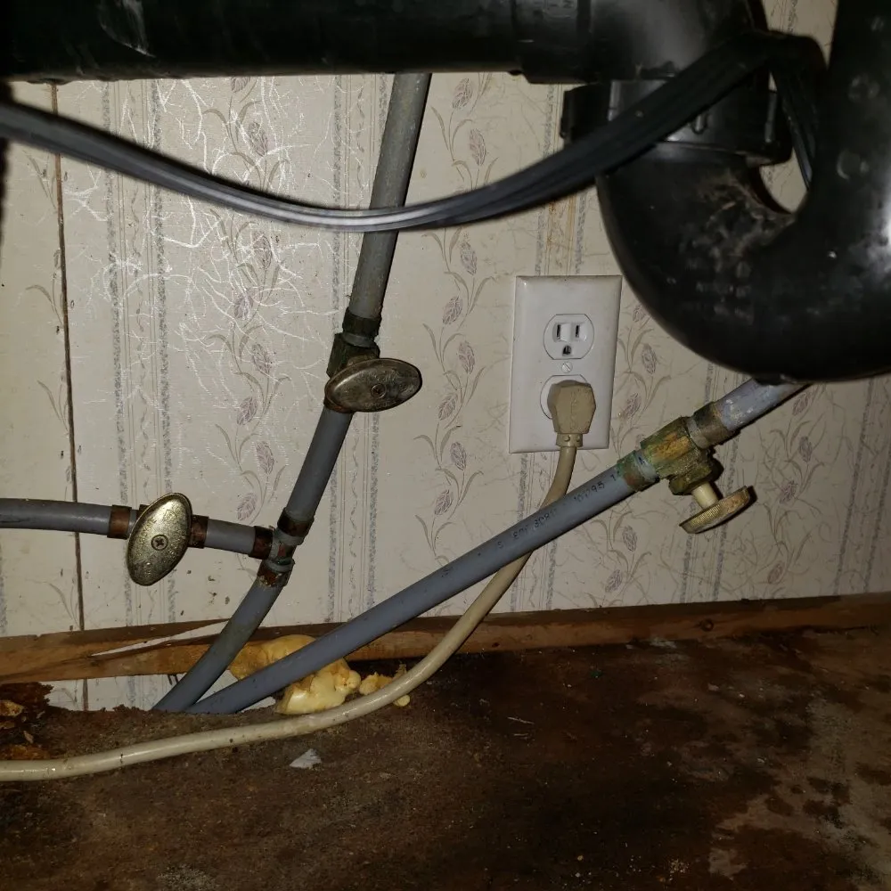 Custom garden landscaping experts serving Waterford Township, MI - Anythings Possible