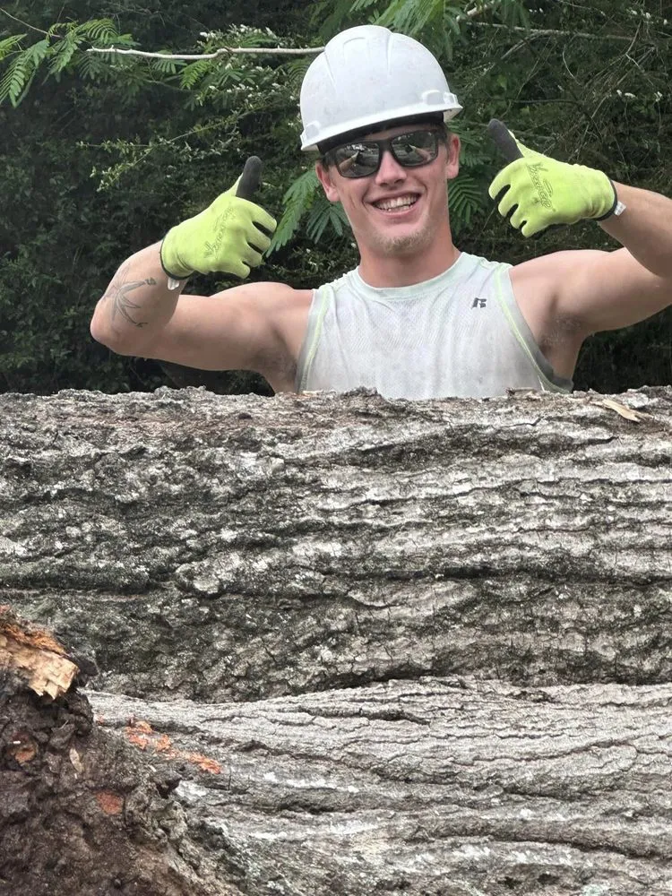 Trusted lawn care service near you in Dothan, AL by Anytime Arbor Care