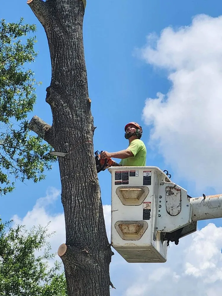 Top-rated landscaping services experts serving Dothan, AL - Anytime Arbor Care