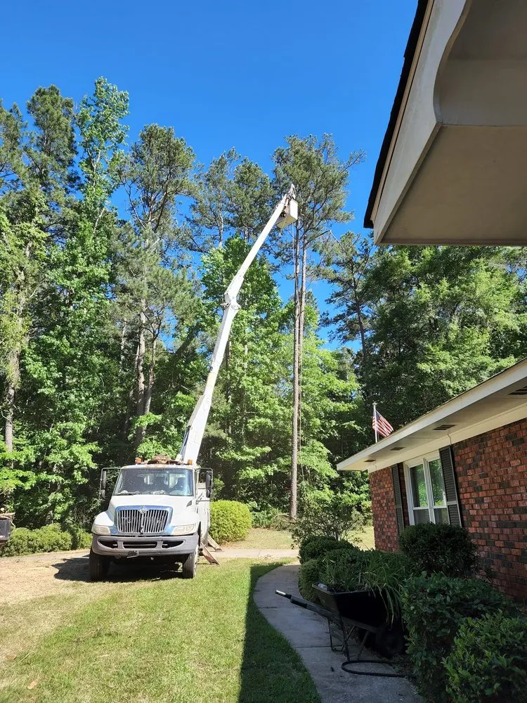 Reliable landscape design in Dothan, AL - Anytime Arbor Care