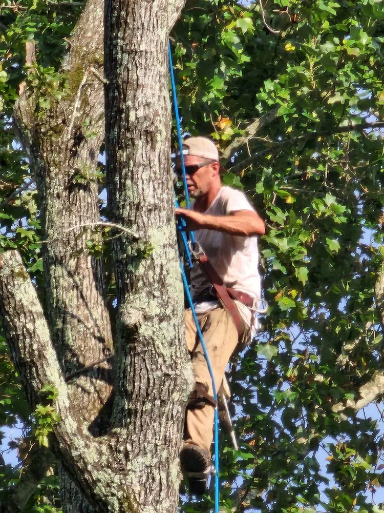 Professional landscape installation with custom design in Dothan, AL by Anytime Arbor Care