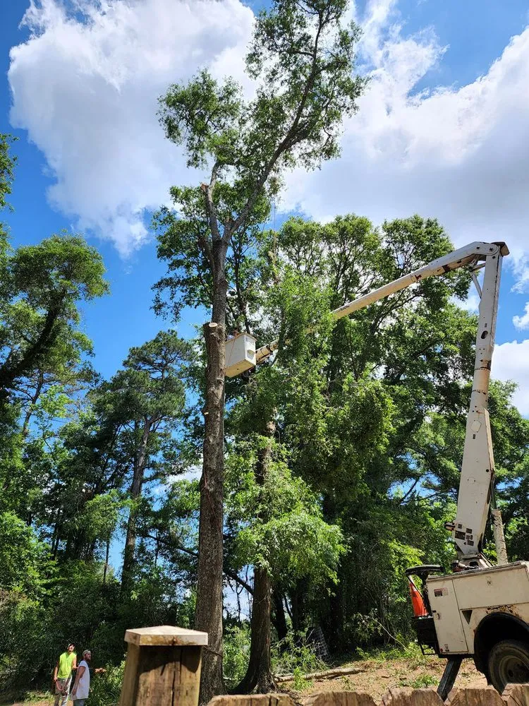 Trusted landscaping services in Dothan, AL by Anytime Arbor Care