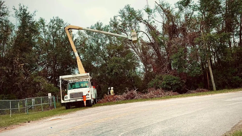 Professional yard cleanup service for year-round maintenance across Dothan, AL - Anytime Arbor Care